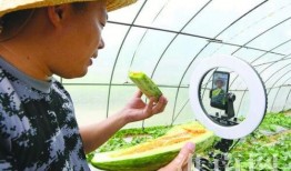 卖衣服吃瓜最新事件爆料,最新事件揭秘，行业乱象引关注